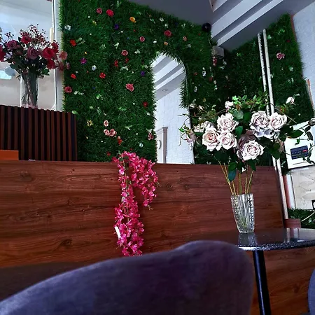 Vip Hotel